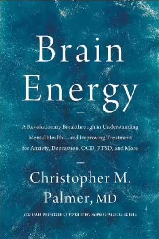 cover of the book by Christopher M. Palmer with the title Brain Energy